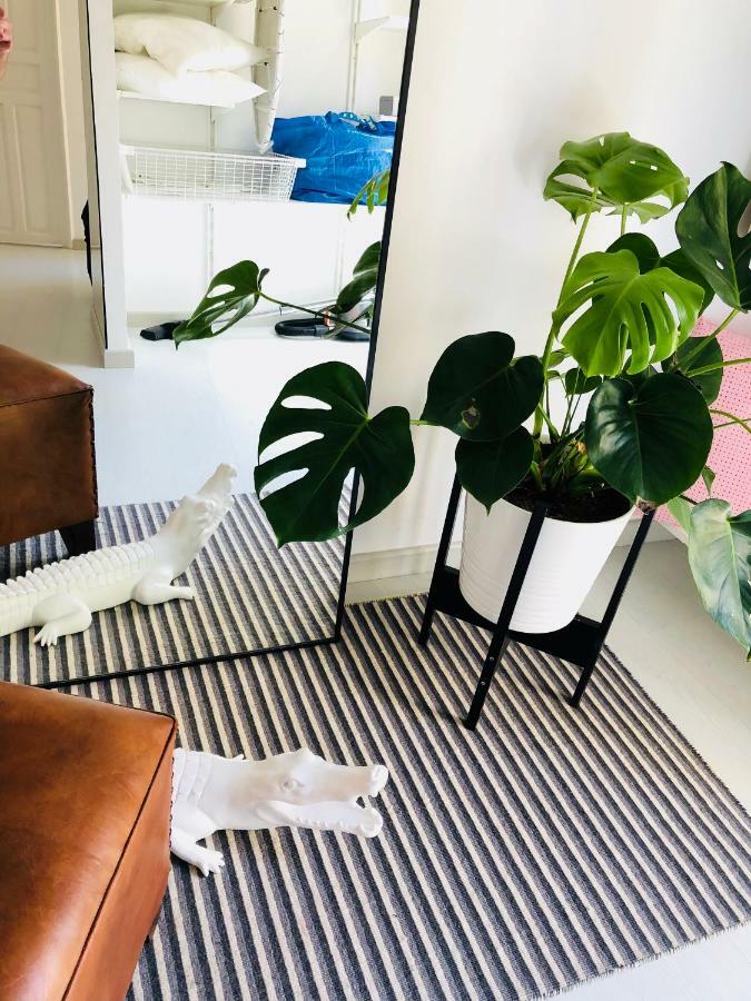 White Loft อาลิกันเต ภายนอก รูปภาพ